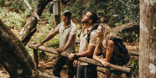 Bel ombre wilderness tour (8)